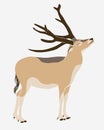 DavidÃ¢â¬â¢s deer (milu, elaphure) Vector Royalty Free Stock Photo